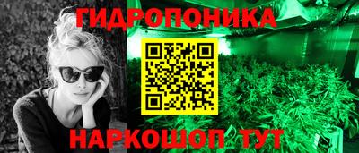 гашик Абакан