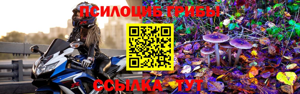 Псилоцибиновые грибы мухоморы  Вход с VPN  Александров 