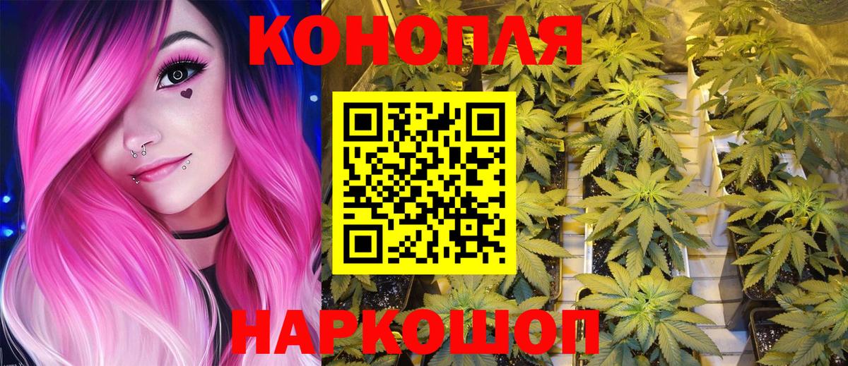 Канабис MAZAR  Канабис Bruce Banner  Бошки Шишки план  Александров  Вход с VPN 
